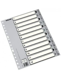 Bolsa indices numericos 1 12 fº multitaladro polipropileno 125 micras